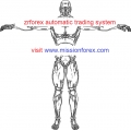 zrforex automatic trading system